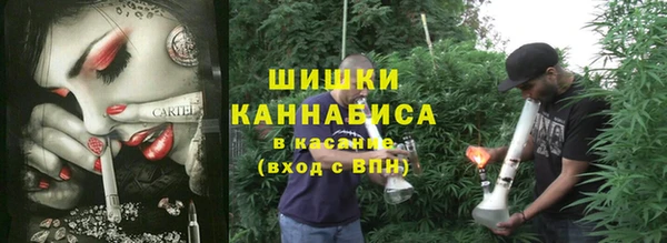 шишки Михайлов