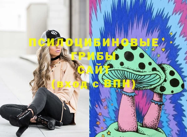 бошки Белая Холуница
